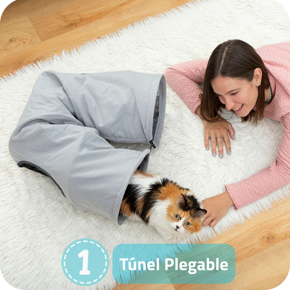 Pack de 4 Productos Esenciales para tu Mascota
