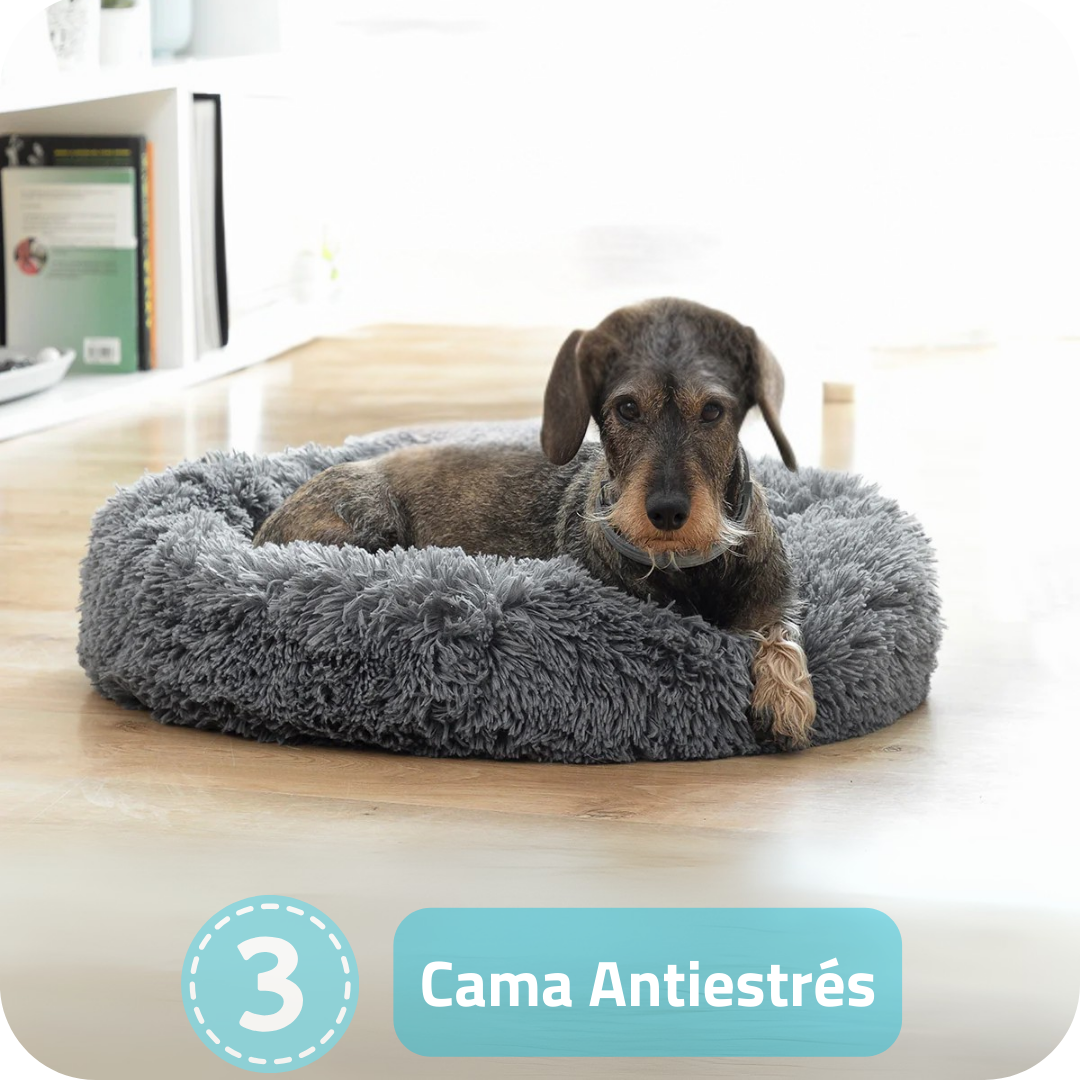 Pack de 4 Productos Esenciales para tu Mascota