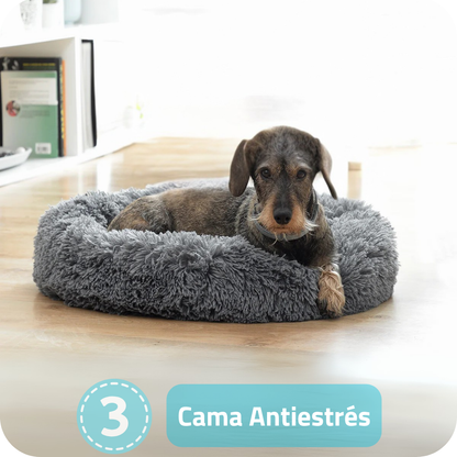 Pack de 4 Productos Esenciales para tu Mascota