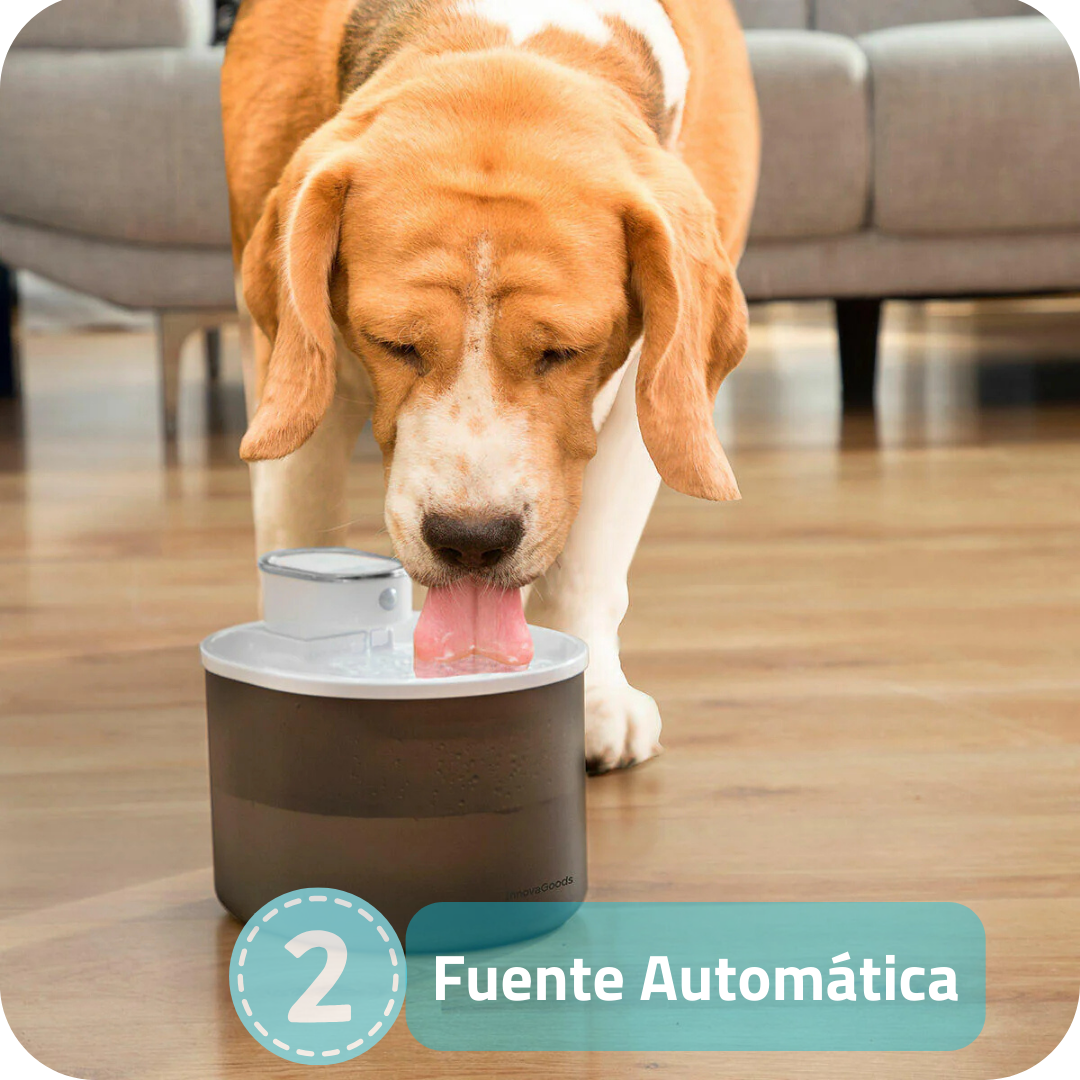 Pack de 4 Productos Esenciales para tu Mascota