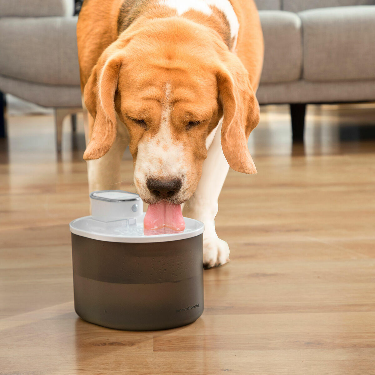 Fuente para Gatos Recargable con Sensor
