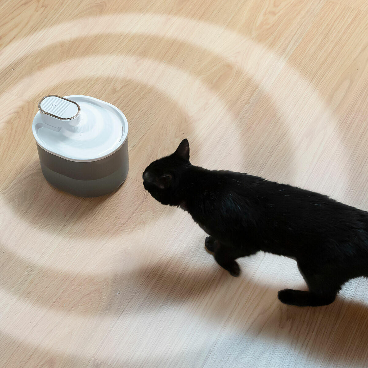 Fuente para Gatos Recargable con Sensor